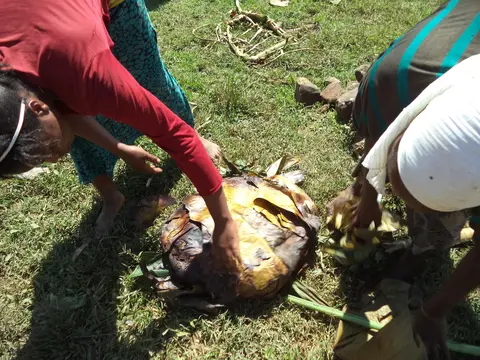 kastab xara orquxukiybta